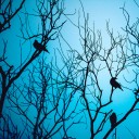 สมาชิกหมายเลข 4153900