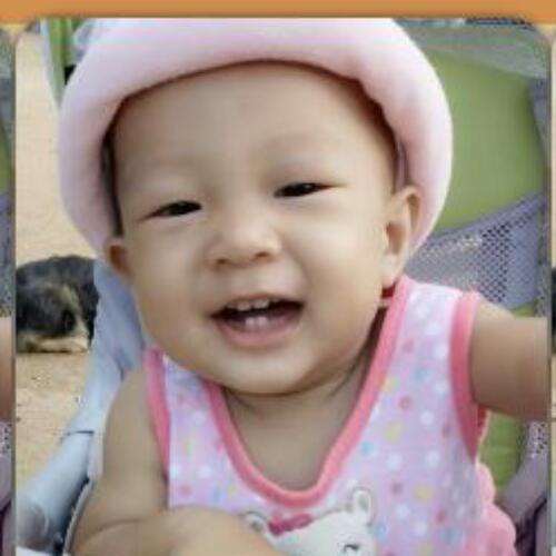 สมาชิกหมายเลข 4909481