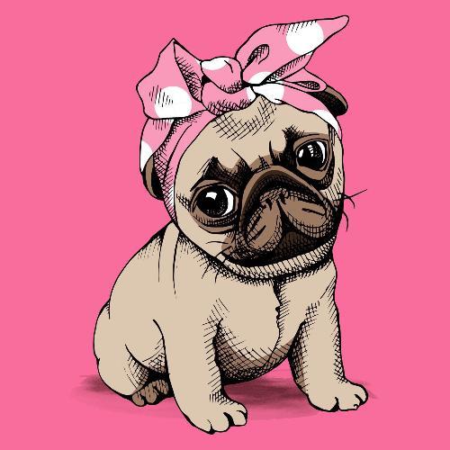 สมาชิกหมายเลข 4910606