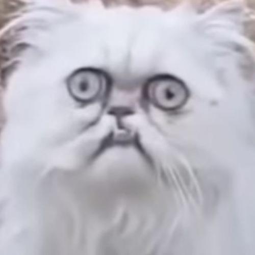 สมาชิกหมายเลข 5309115