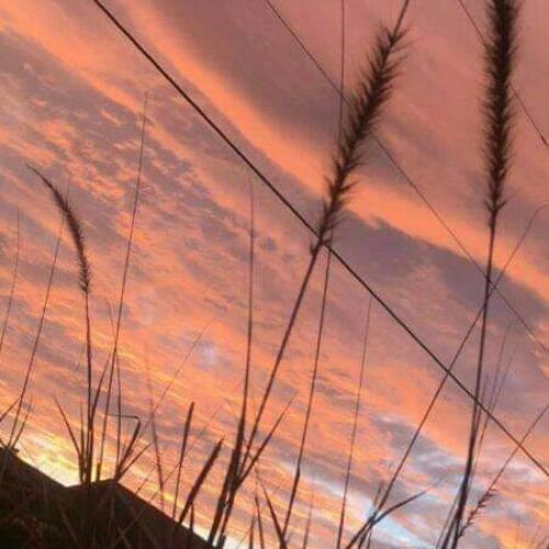 สมาชิกหมายเลข 5309266