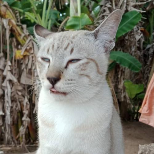 สมาชิกหมายเลข 5309308