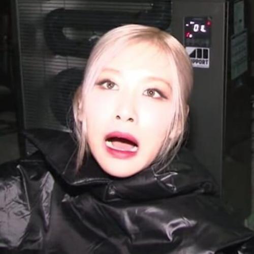 สมาชิกหมายเลข 2913159