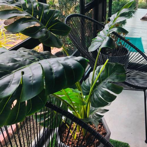 สมาชิกหมายเลข 4508439