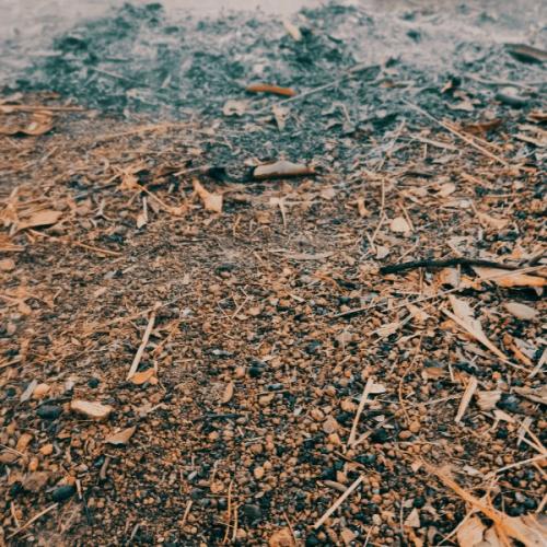 สมาชิกหมายเลข 6363058