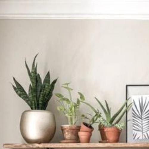 สมาชิกหมายเลข 5359901