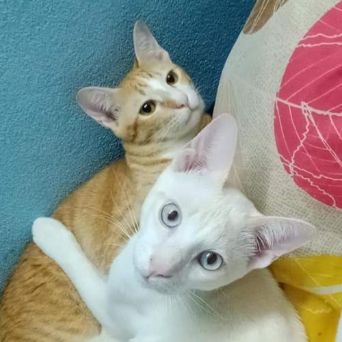 สมาชิกหมายเลข 7047771