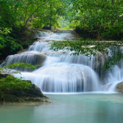 สมาชิกหมายเลข 7048035