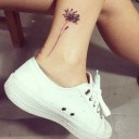 สมาชิกหมายเลข 3671549