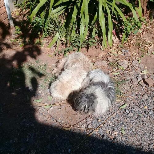 สมาชิกหมายเลข 4569497