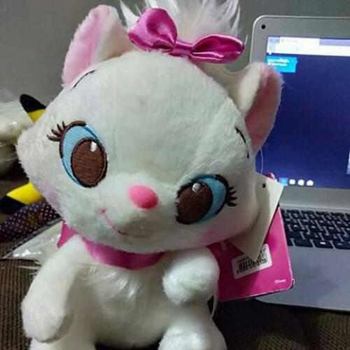 สมาชิกหมายเลข 4910787