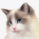 สมาชิกหมายเลข 4910864