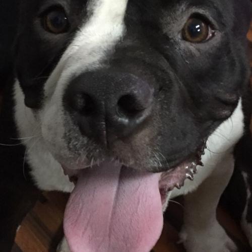 สมาชิกหมายเลข 3390200