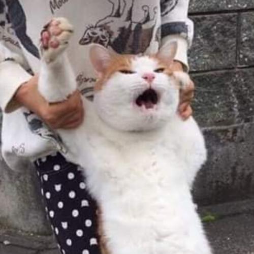 สมาชิกหมายเลข 2684673