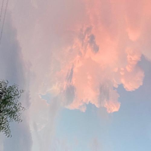 สมาชิกหมายเลข 3228906