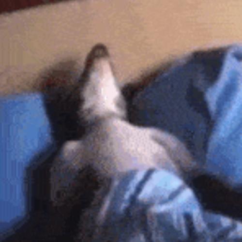 สมาชิกหมายเลข 5989530