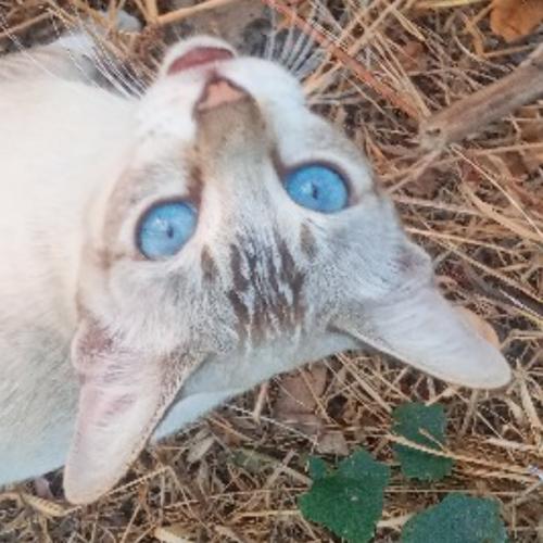 สมาชิกหมายเลข 6973845