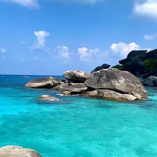 สมาชิกหมายเลข 8795932