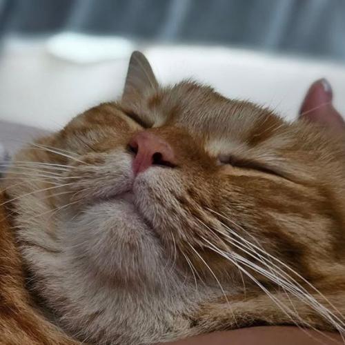 สมาชิกหมายเลข 8796161