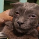 สมาชิกหมายเลข 4154784