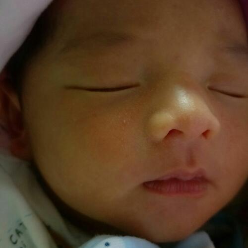 สมาชิกหมายเลข 1269549