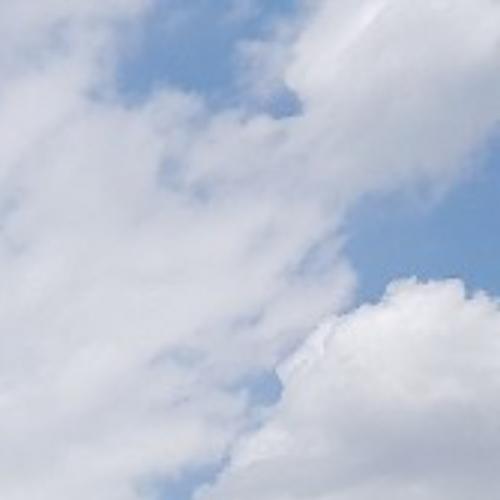 สมาชิกหมายเลข 3120087