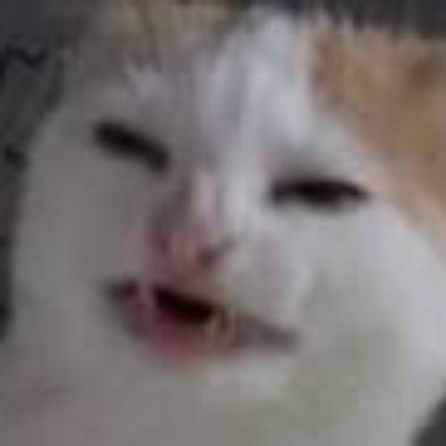 สมาชิกหมายเลข 5316856