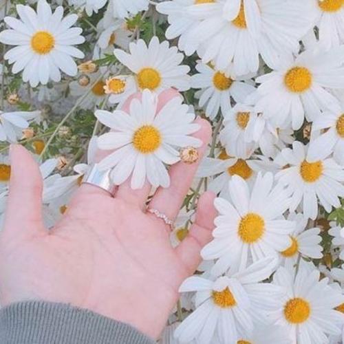 สมาชิกหมายเลข 1315748