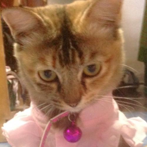 สมาชิกหมายเลข 2677134