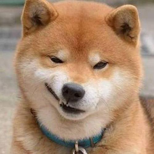 สมาชิกหมายเลข 4839266