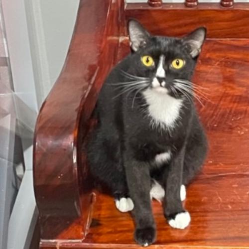 สมาชิกหมายเลข 4504803