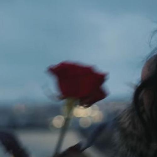 สมาชิกหมายเลข 6006331