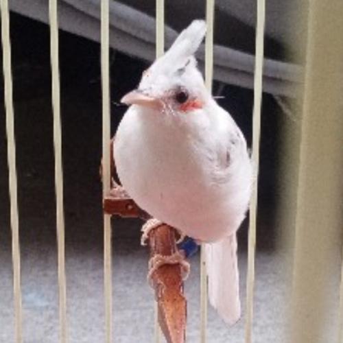 สมาชิกหมายเลข 8797454