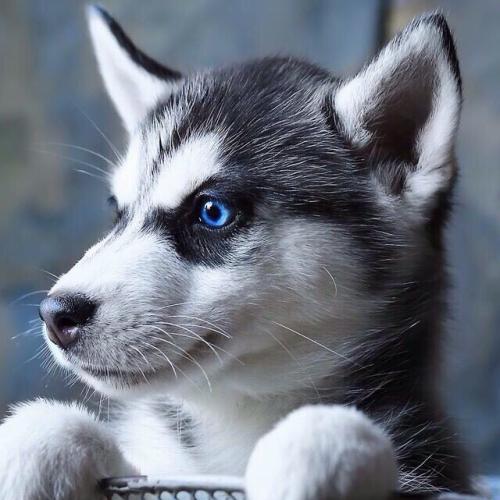 สมาชิกหมายเลข 3080871