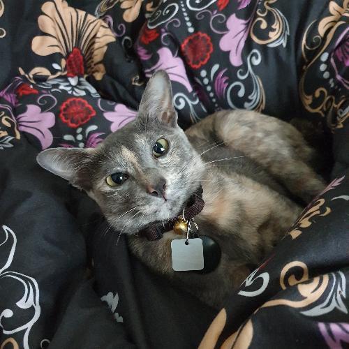 สมาชิกหมายเลข 1553277