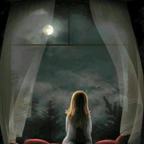 สมาชิกหมายเลข 4911307