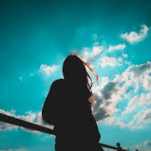 สมาชิกหมายเลข 4911530