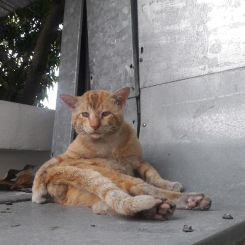 สมาชิกหมายเลข 2598669