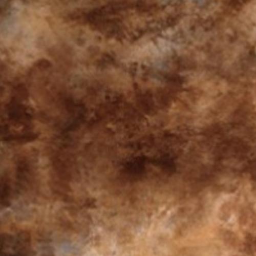 สมาชิกหมายเลข 4022186