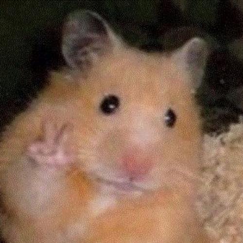 สมาชิกหมายเลข 6532359