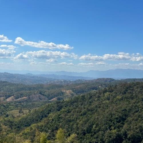 สมาชิกหมายเลข 8798260