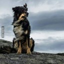 สมาชิกหมายเลข 4108161