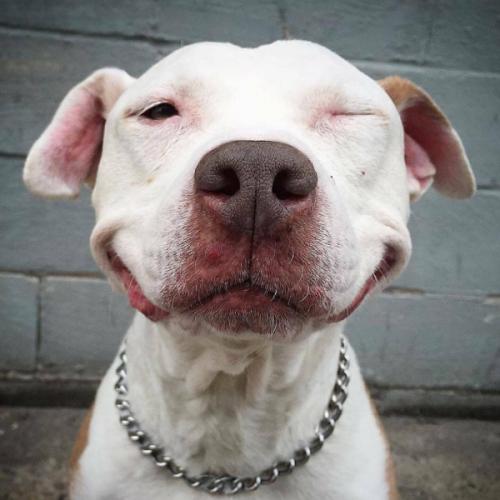 สมาชิกหมายเลข 1575416