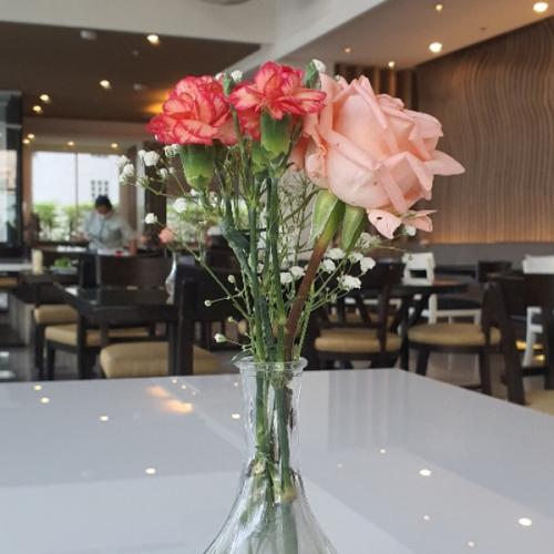 สมาชิกหมายเลข 6355760