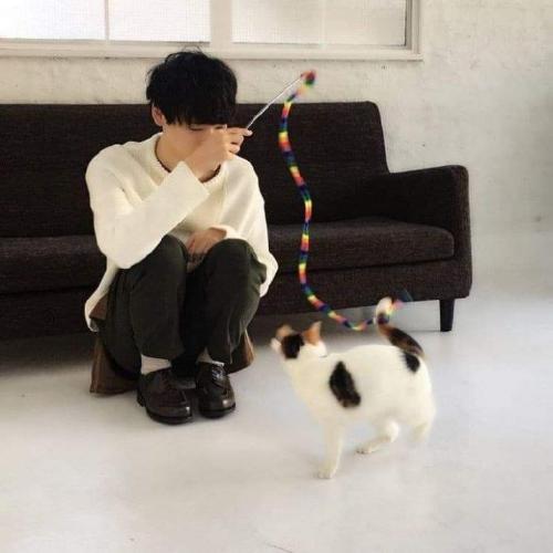 สมาชิกหมายเลข 6365012