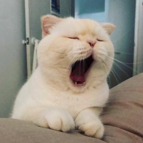 สมาชิกหมายเลข 6365423