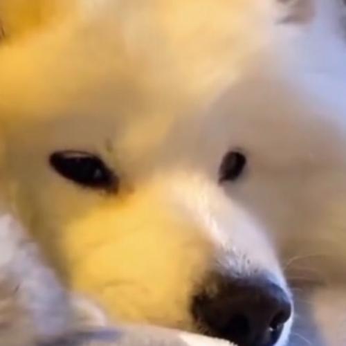 สมาชิกหมายเลข 6968087