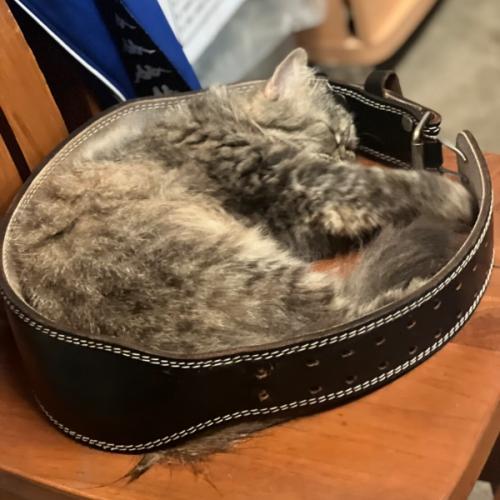 สมาชิกหมายเลข 7051193