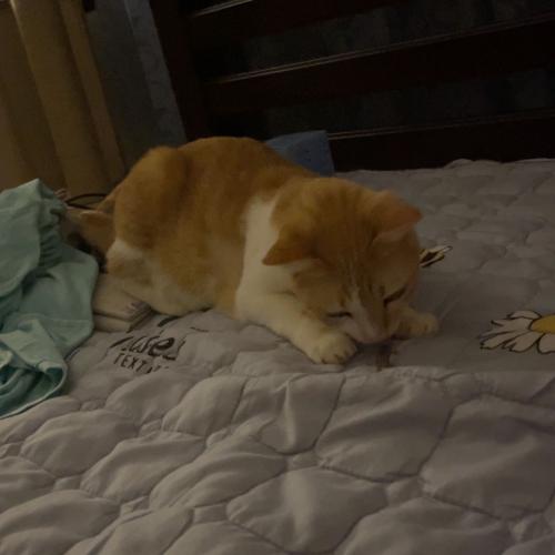 สมาชิกหมายเลข 7126292