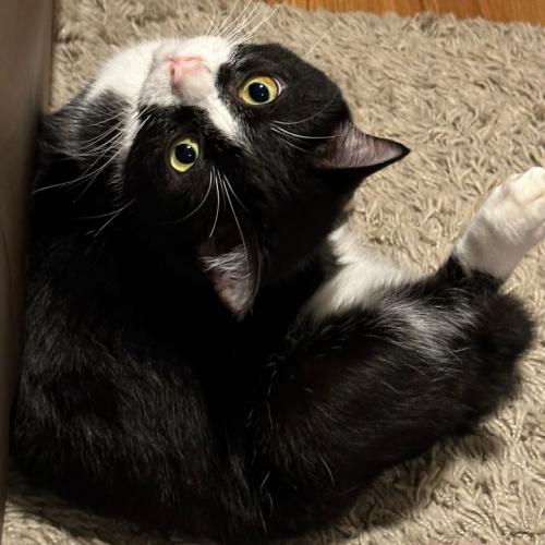 สมาชิกหมายเลข 1192740